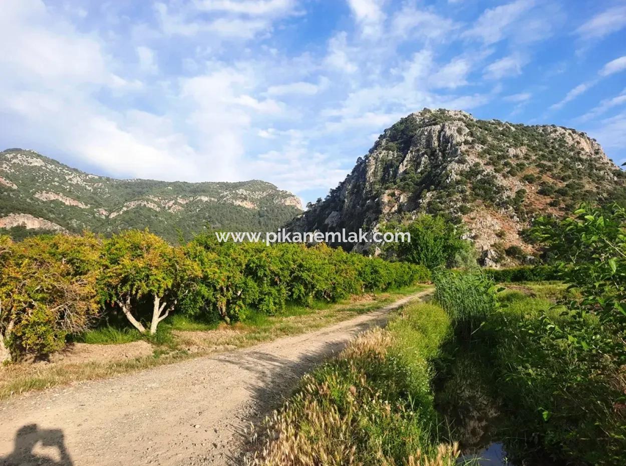 For Sale Big Land In Dalyan 24 000 M2