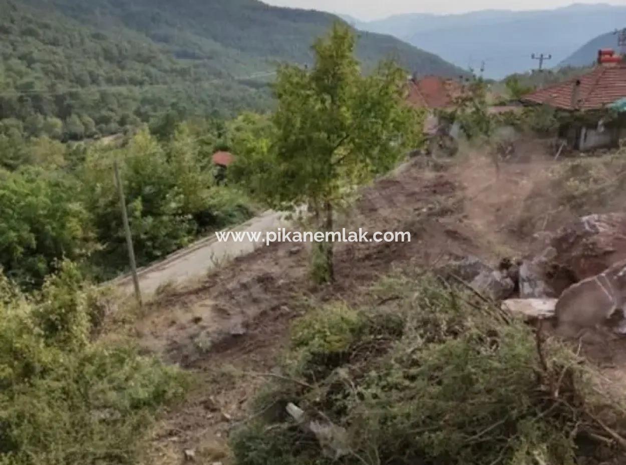 Muğla Köyceğiz Yayla Mah 570 M2 Grundstück Zum Verkauf