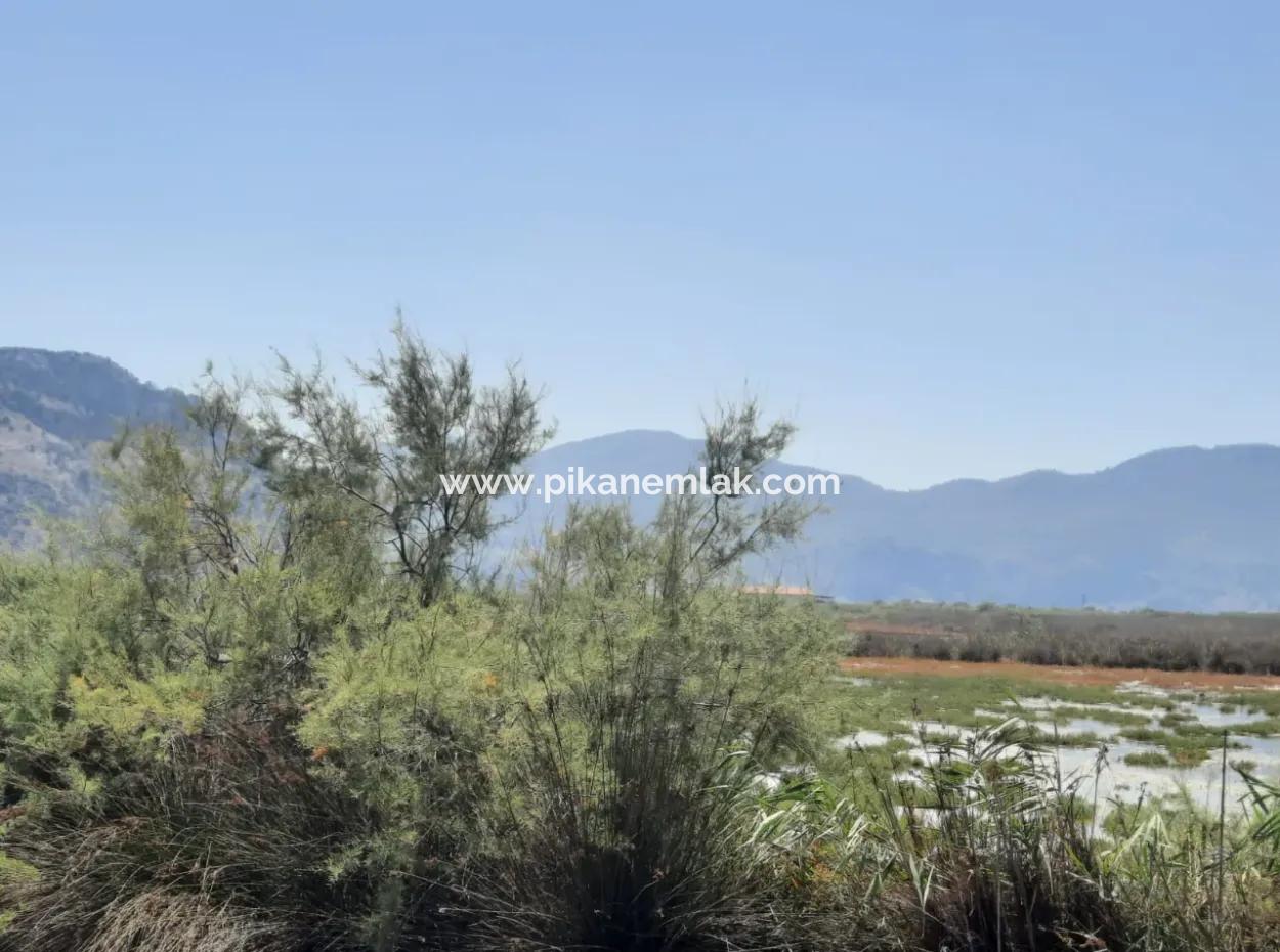 Zu Verkaufen In Dalyan, Muğla, 17.500 M2 Freistehendes Schnäppchengrundstück In Der Nähe Des Kanals