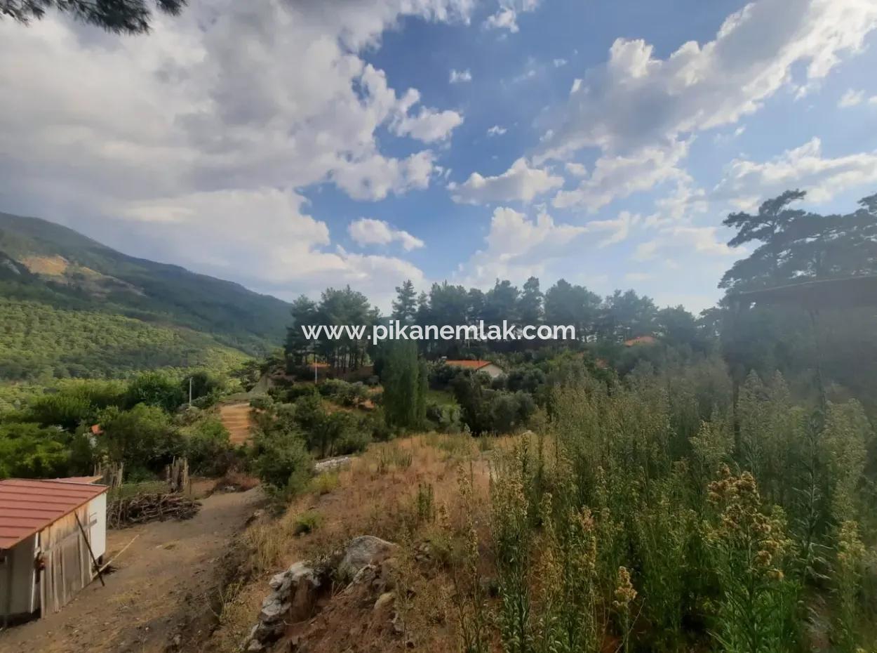 Köyceğiz Ağla Plateau 550M2 Projektbereites, Zoniertes Schnäppchenland Zum Verkauf