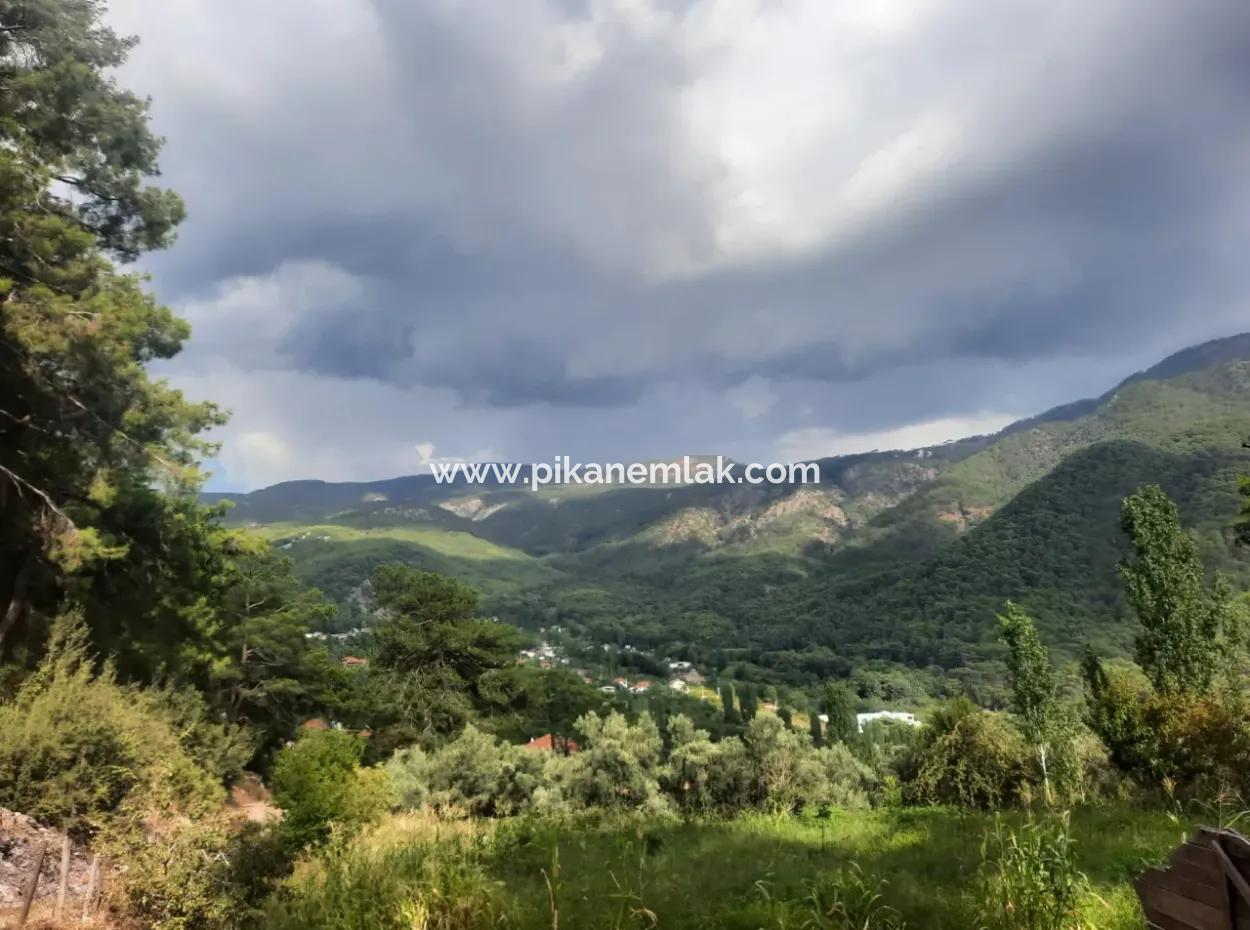 Köyceğiz Ağla Plateau 550M2 Projektbereites, Zoniertes Schnäppchenland Zum Verkauf