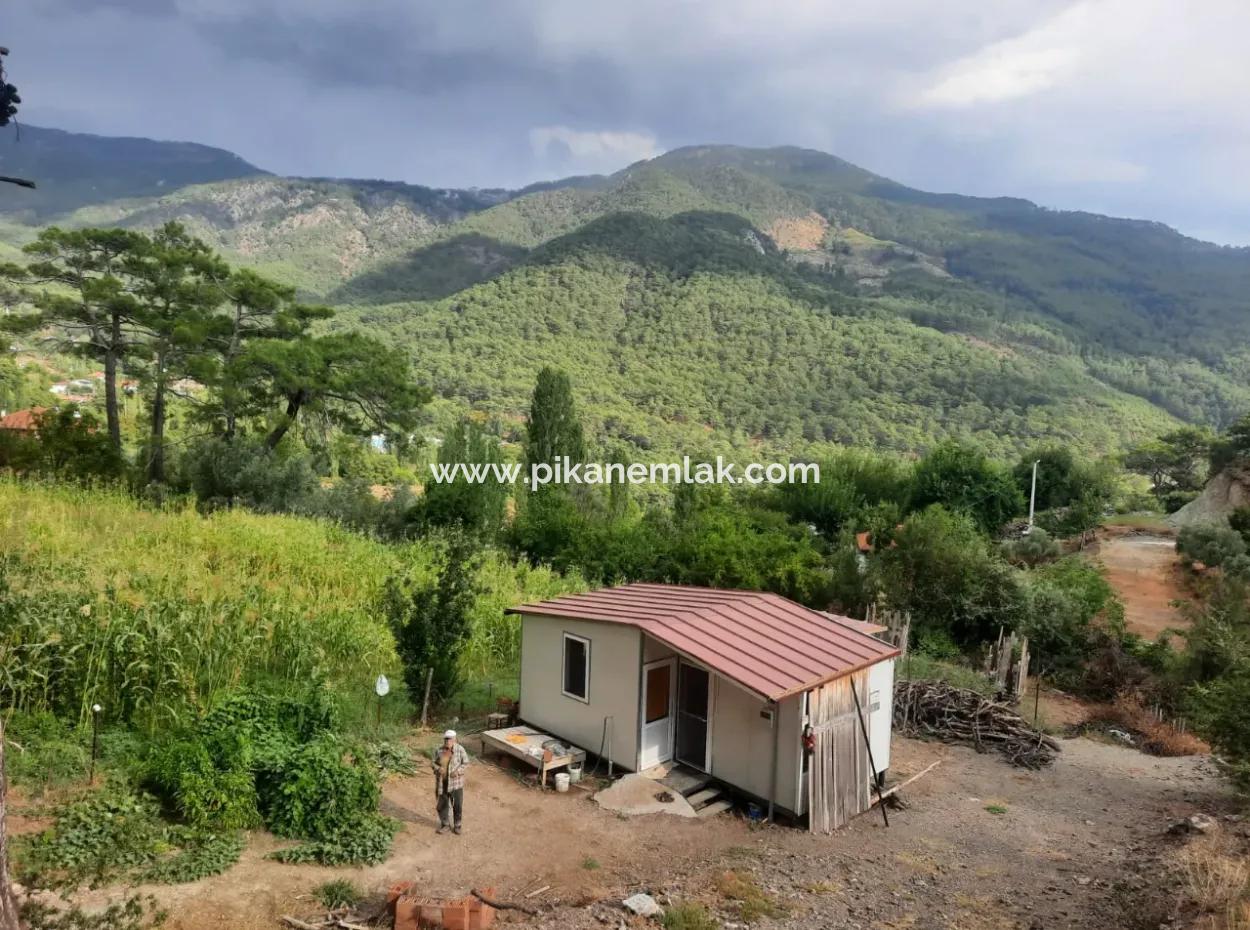 Muğla Köyceğiz Ağla - 535 M2 Grundstück Und Tiny House Haus Zum Verkauf Auf Dem Plateau