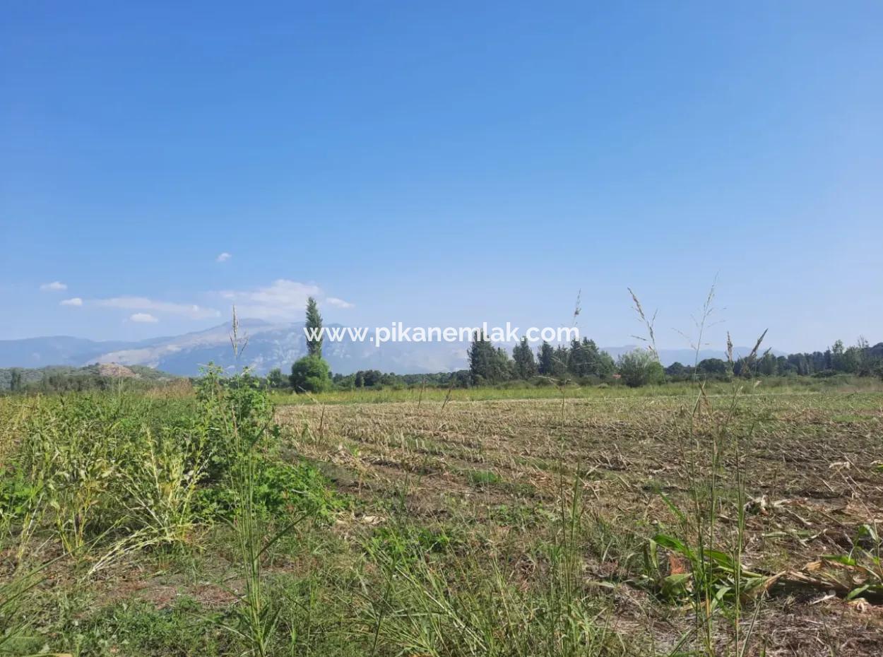 2 650 M2 Fruchtbares Land Zum Verkauf In Köyceğiz Poplar
