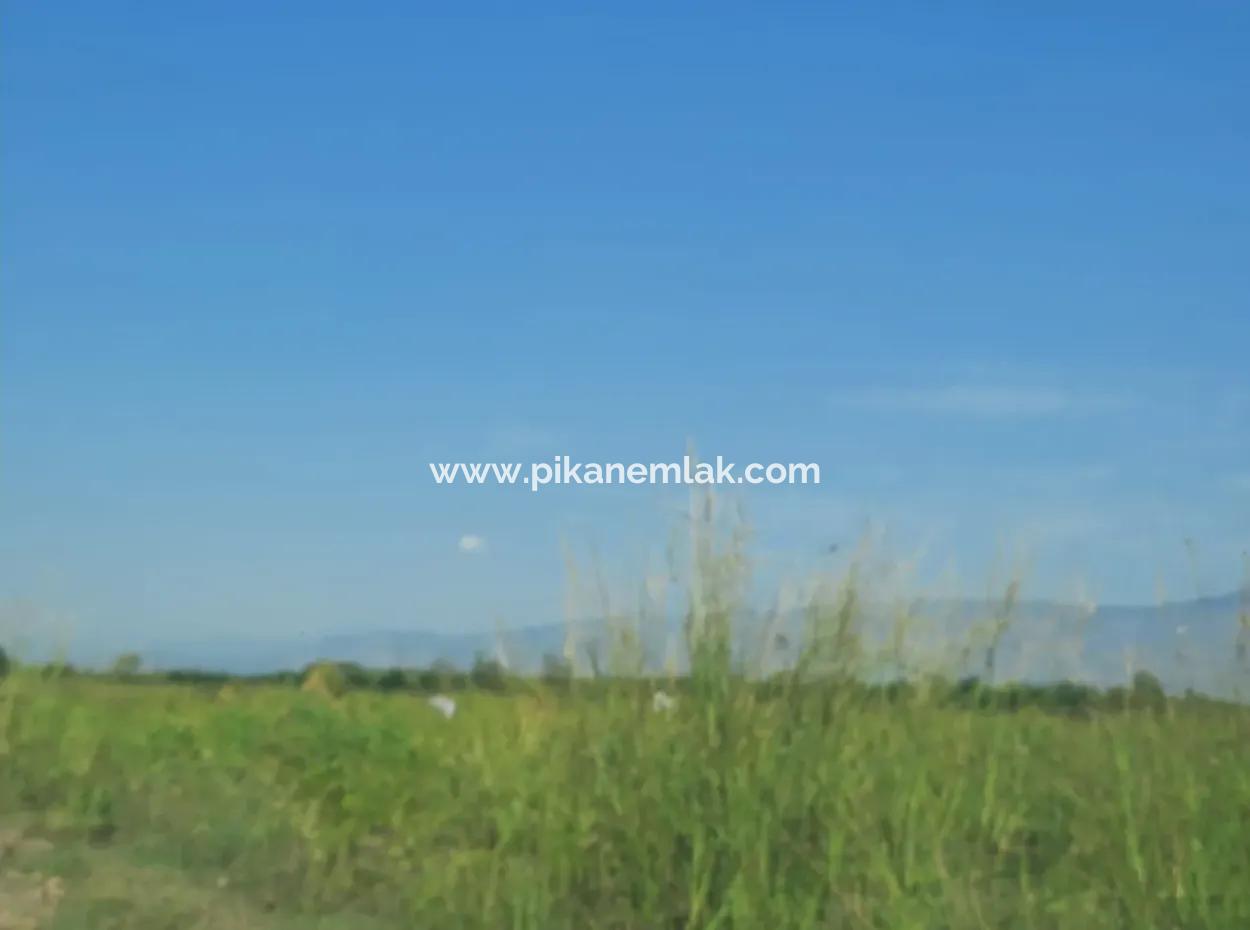 2 650 M2 Fruchtbares Land Zum Verkauf In Köyceğiz Poplar