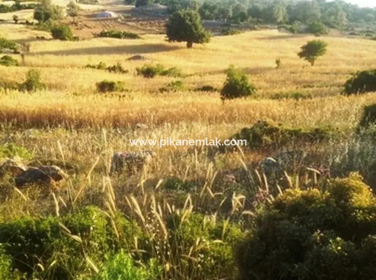 Grundstück Mit Meerblick Zum Verkauf In Boğaziçi Seydikemer