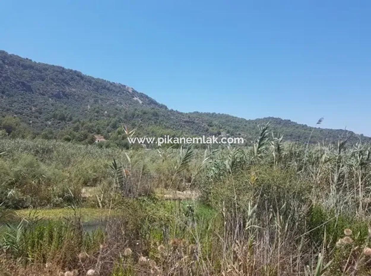 14.300 M² Mietgrundstück In Ortaca Sarıgerme, Muğla – Geeignet Für Tourismus Und Kommerzielle Investitionen
