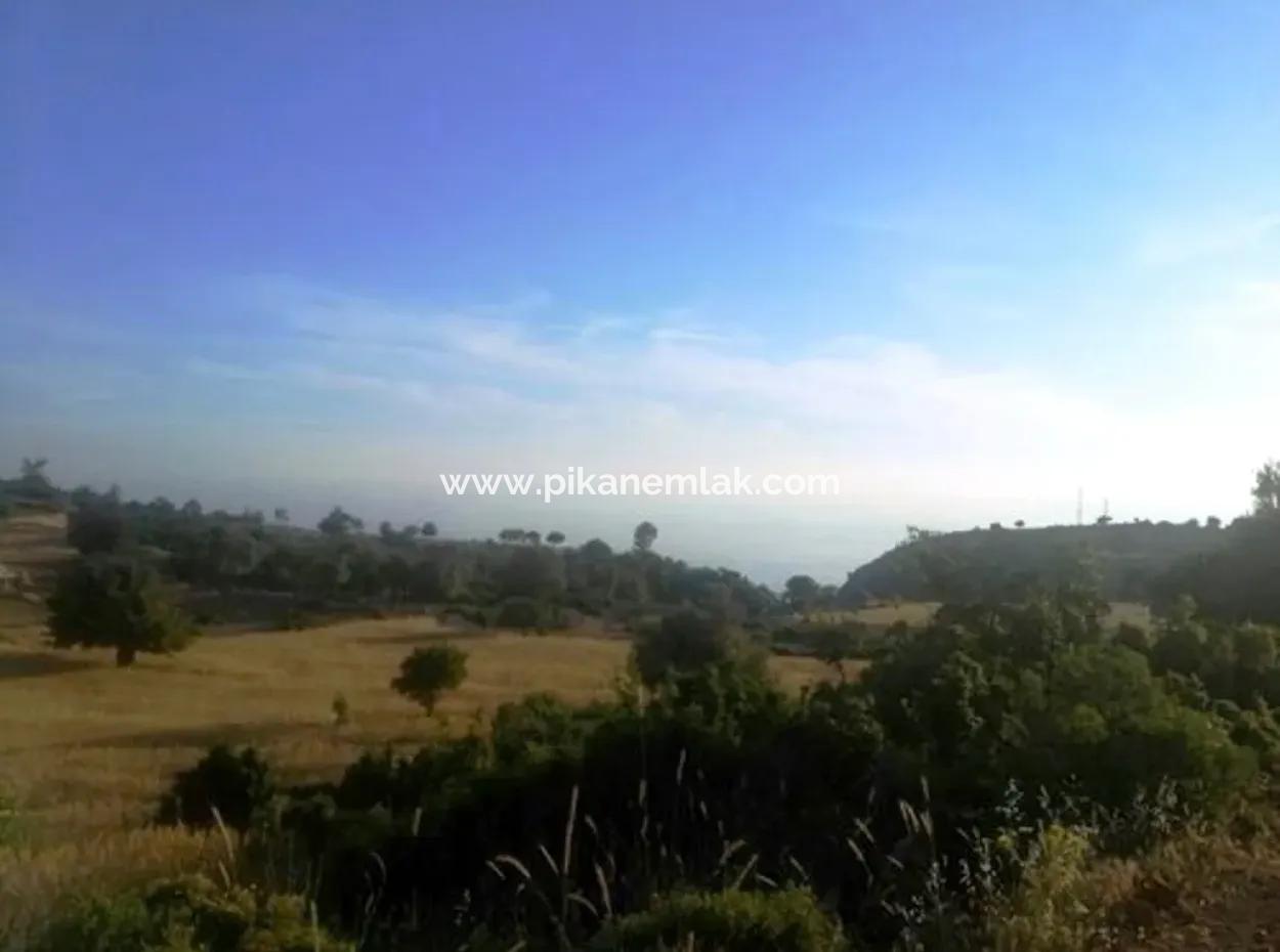 Grundstück Mit Meerblick Zum Verkauf In Boğaziçi Seydikemer