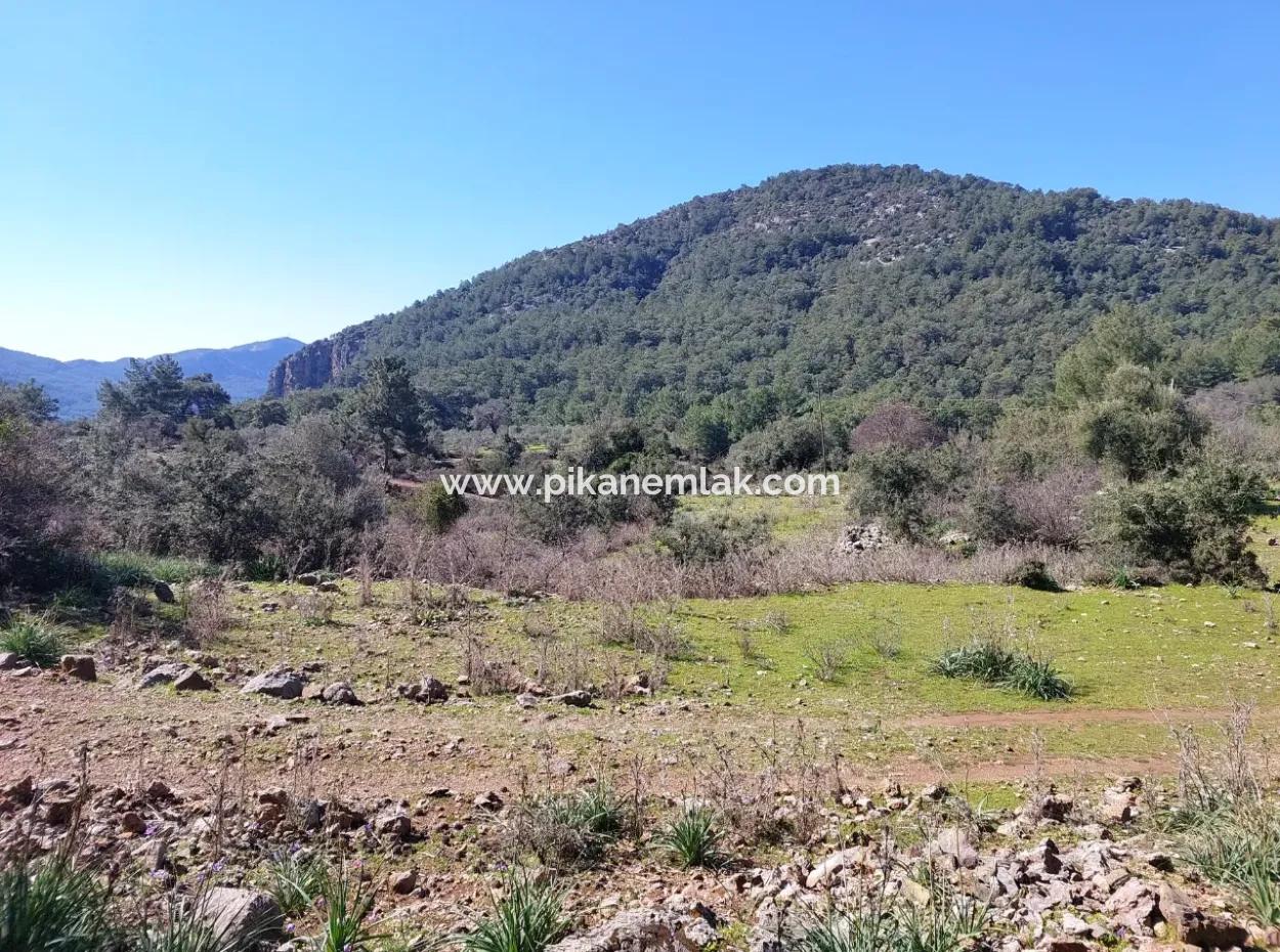 2 400 M2 Feld Zum Verkauf In Muğla Ortaca Gökbelde Natur