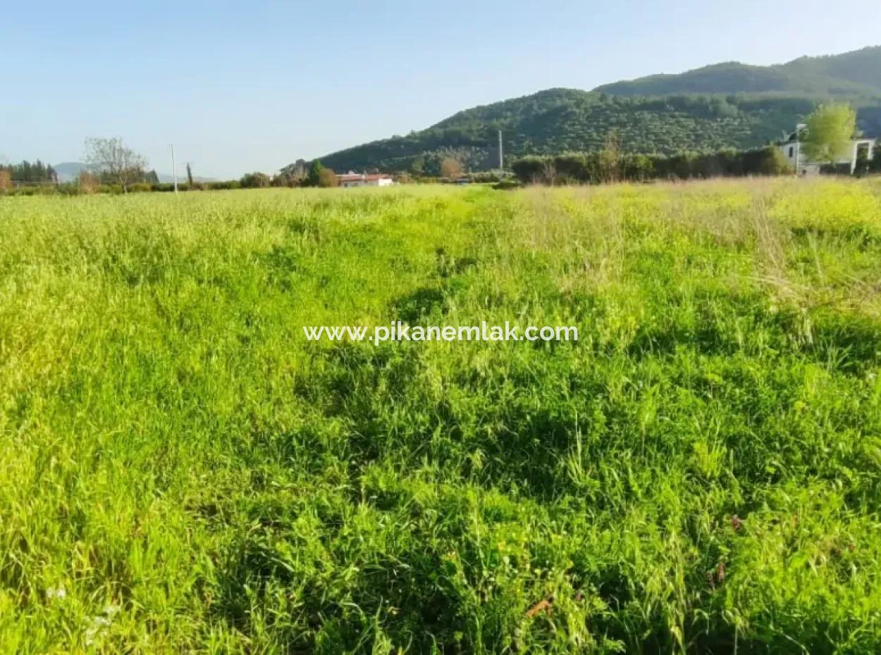 Rızai Taksimli 798 M2 Feld Zum Verkauf In Muğla Ortaca Fevziye Nachbarschaft