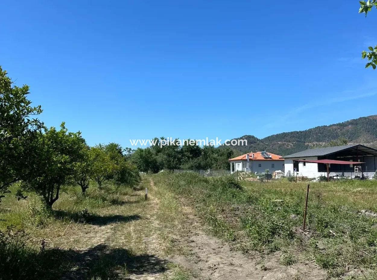 Bogenschützen Auch Zu Verkaufen 500 M2