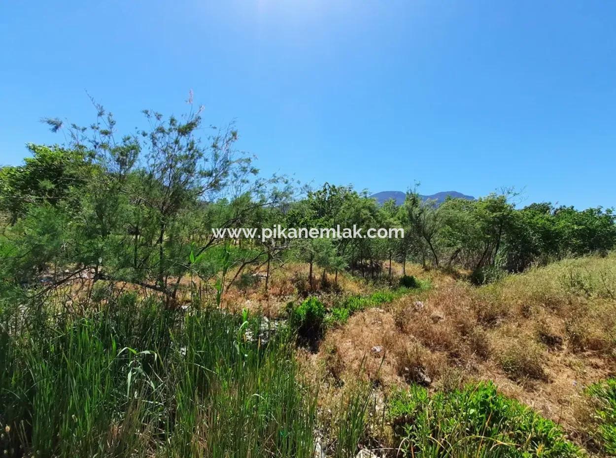 Muğla Ortaca Dalyanda Kanalfront 6 500 M2 Grundstück Mit Eigentumsurkunde Zum Verkauf
