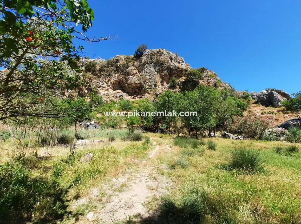 Muğla Ortaca Dalyanda Kanalfront 6 500 M2 Grundstück Mit Eigentumsurkunde Zum Verkauf