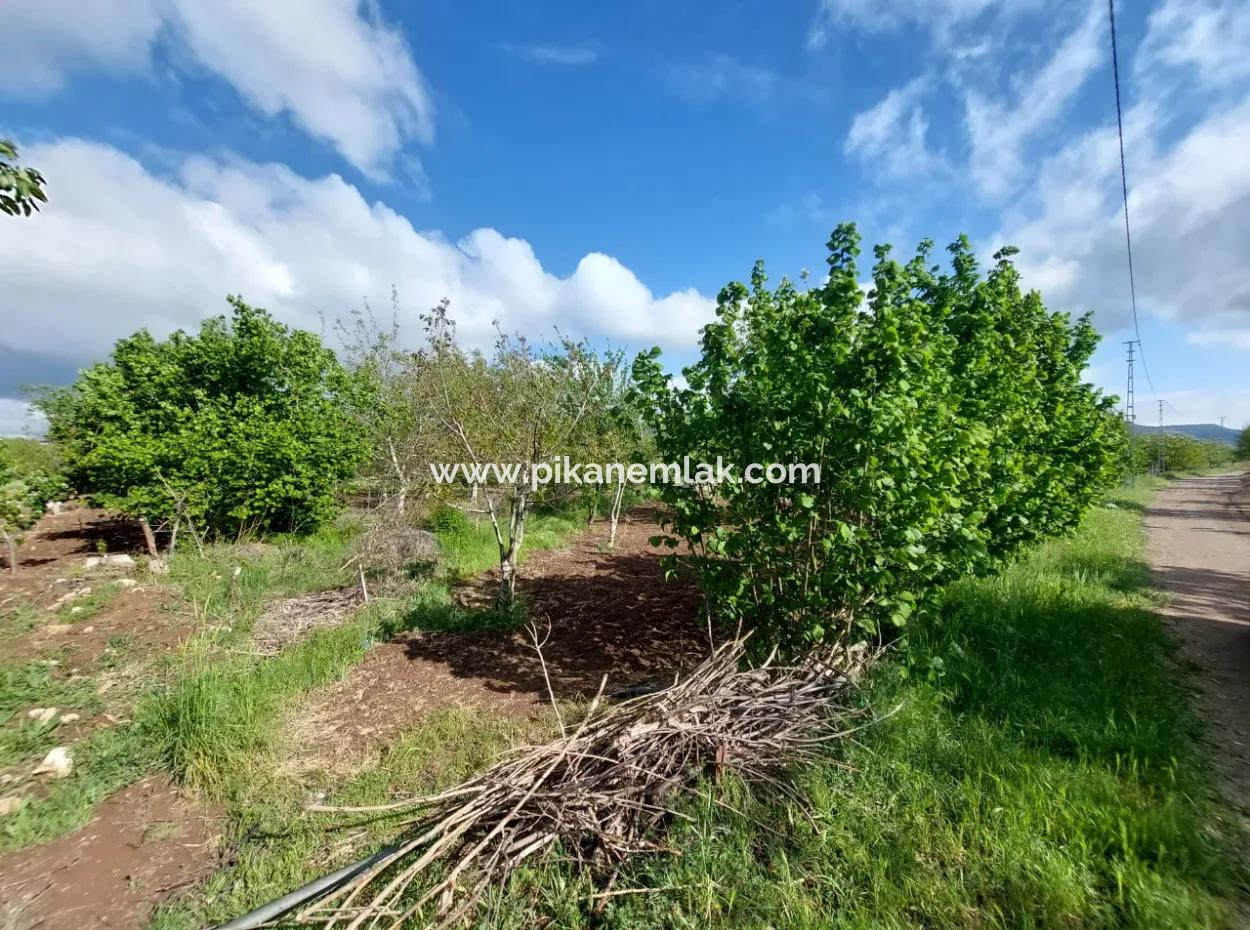 1000 M2 Grundstück In Çameli Kızılyaka, Zum Verkauf Oder Tausch Für 2 1 Wohnungen In Ortaca