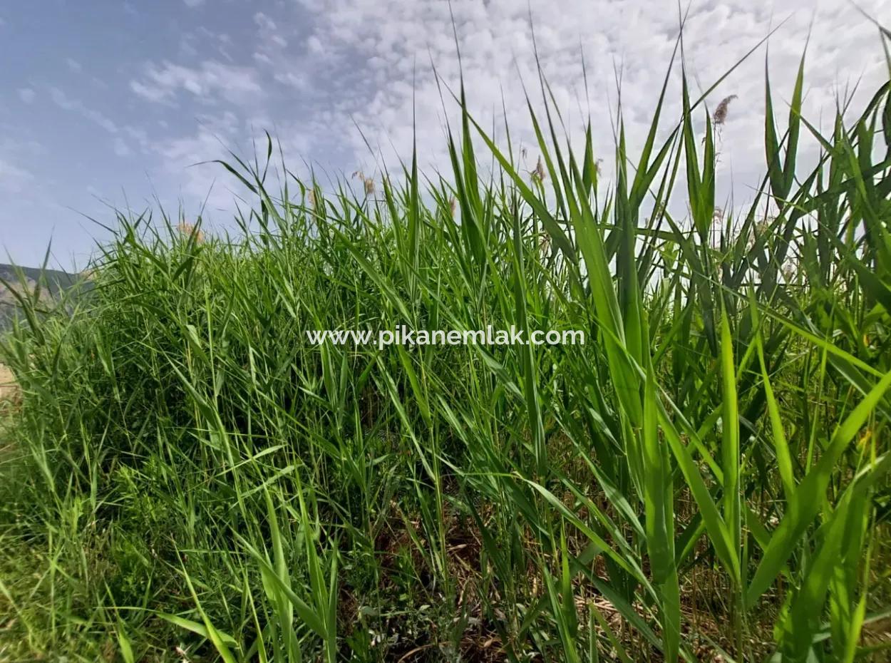 1.500 M2 Freistehendes Feld Zum Verkauf In Dalyan