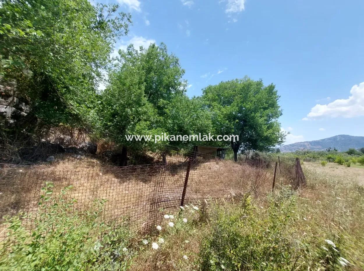 Köyceğiz Çandırda Freistehende Eigentumsurkunde 33.800 M2 Feld Zum Verkauf