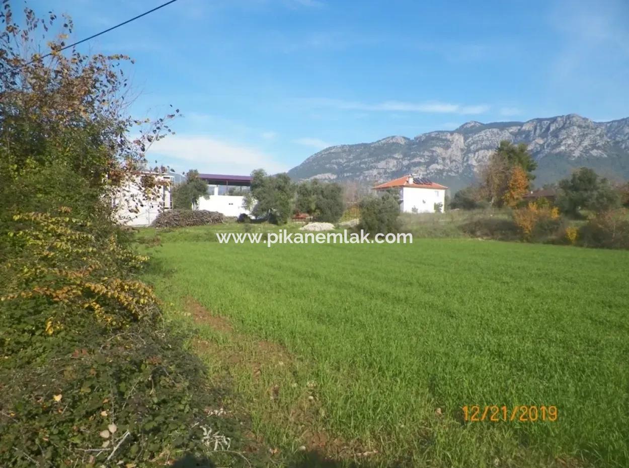 Land Zum Verkauf In Bargain Detached Zeytinalani