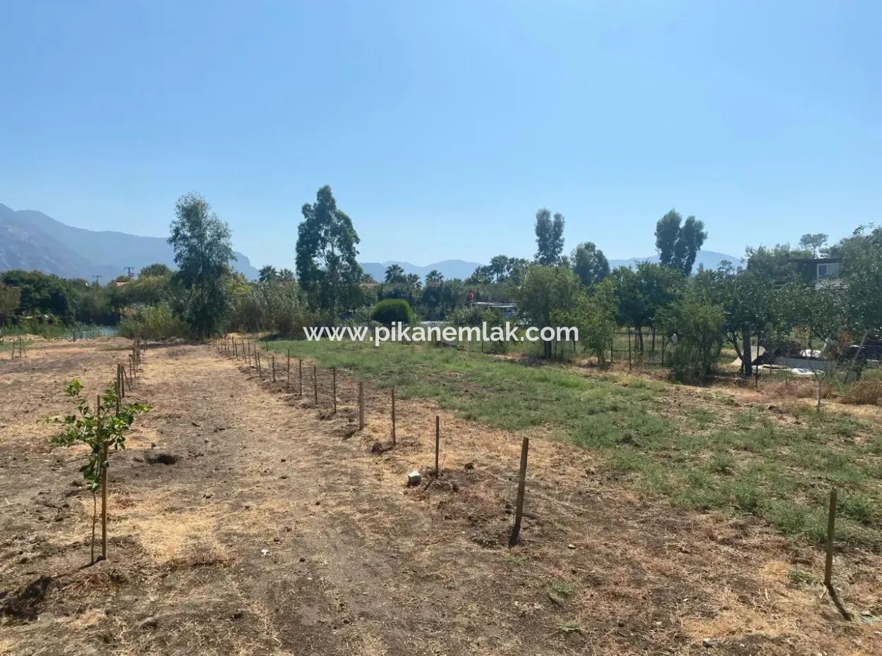 Köyceğiz Çandır Dalyan Canal Front 3210 M2 Grundstück Zum Verkauf