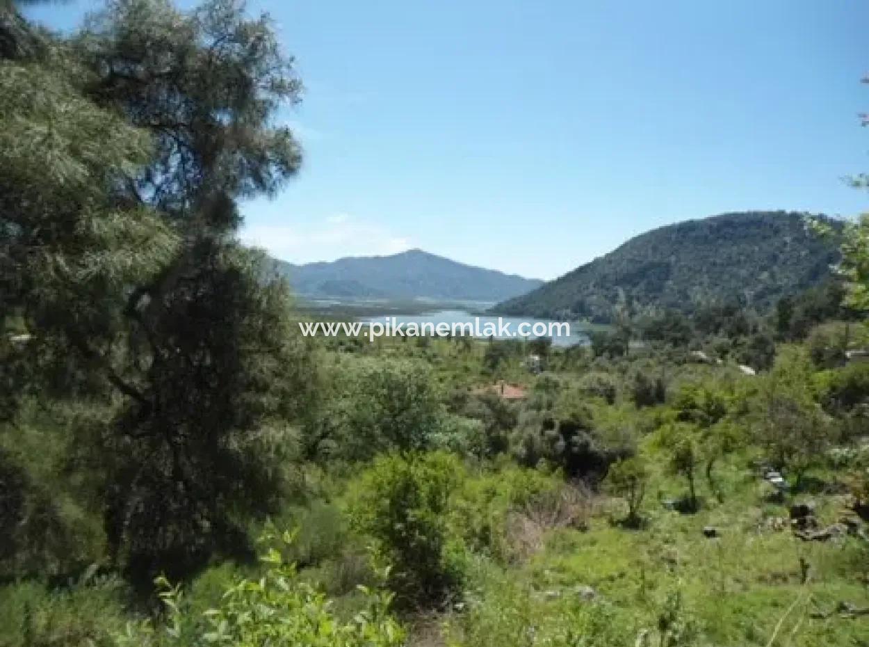 Dorfhaus Mit Seeblick Und Olivenhain Land Zum Verkauf In Köyceğiz Çandır, Muğla
