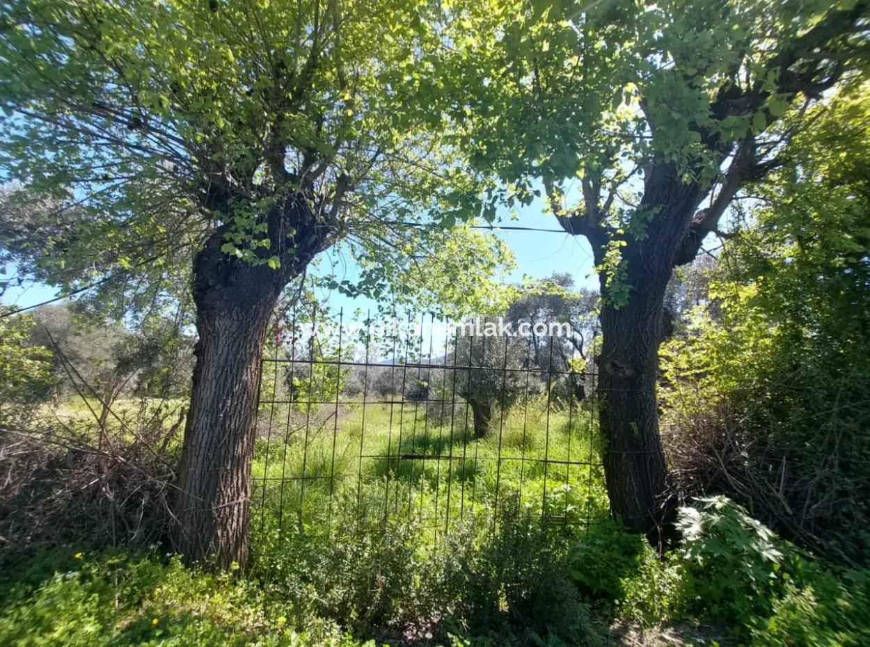 Dorfhaus Mit Seeblick Und Olivenhain Land Zum Verkauf In Köyceğiz Çandır, Muğla