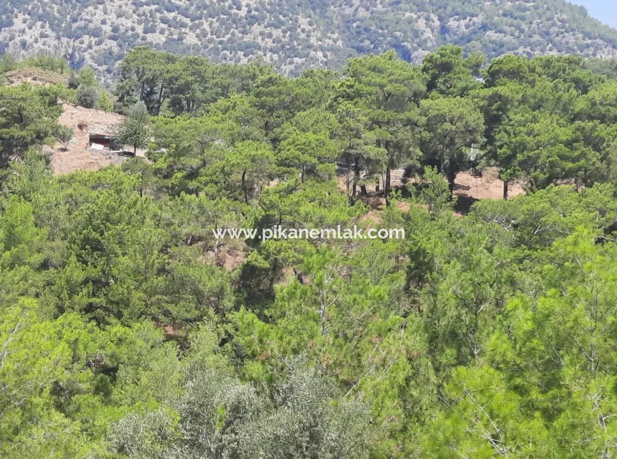 Dalyan Gökbelde See- Und Meerblick Freistehende Eigentumsurkunde Zum Verkauf 82 M2 Land Zum Verkauf