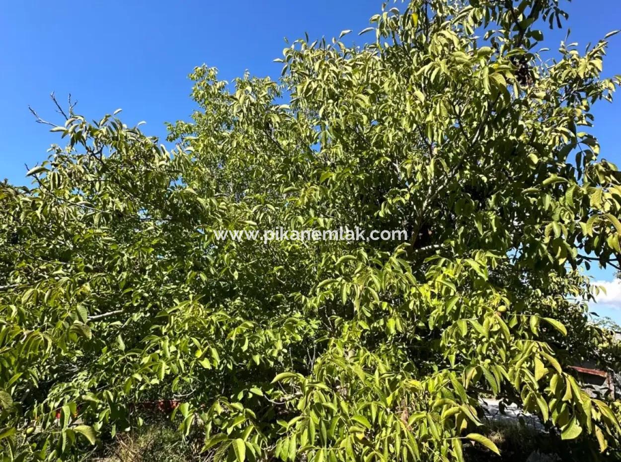 1129 M2 Zoniertes Grundstück Zum Verkauf In Ortaca Dalaklı