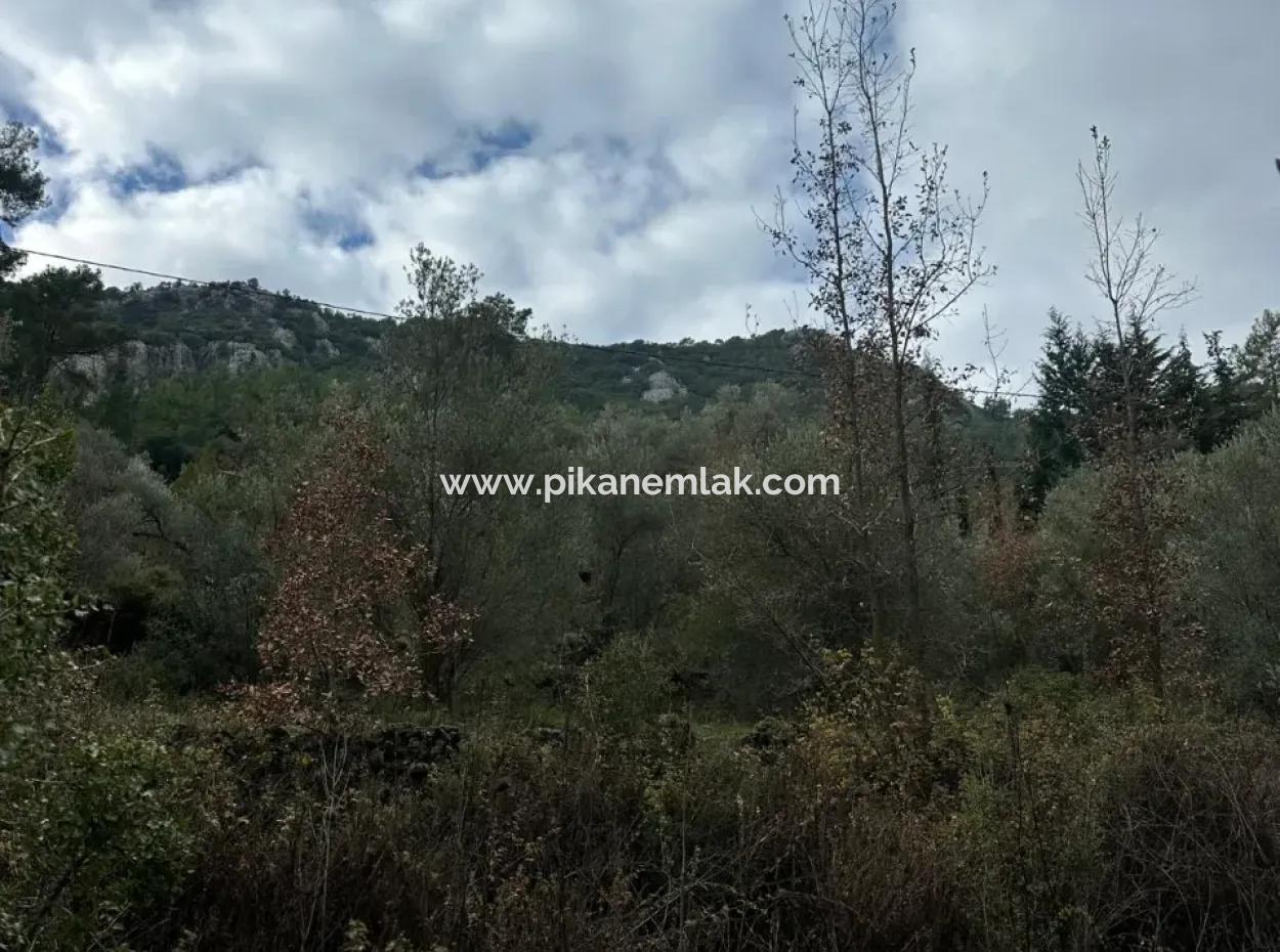 Zu Verkaufen In Fethiye Gökçeovacıkta 1709 M2