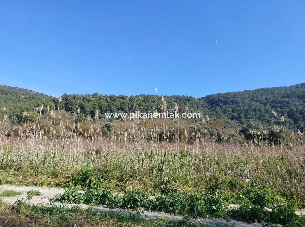 Fruchtbares 6.350 M2 Land Zum Verkauf In Muğla Ortaca Güzelyurt