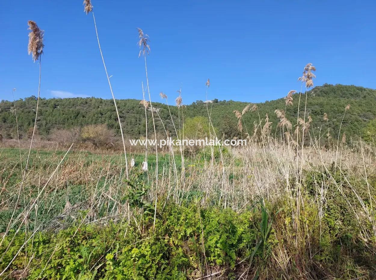 Fruchtbares 6.350 M2 Land Zum Verkauf In Muğla Ortaca Güzelyurt