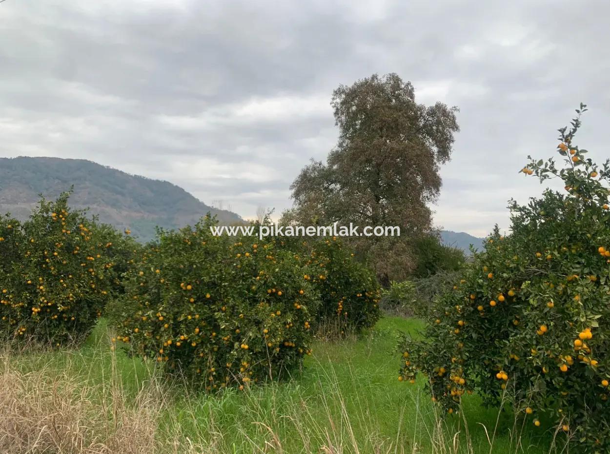 1084 M2 Zoniertes Schnäppchengrundstück Zum Verkauf In Ortaca Ekşiliyurt