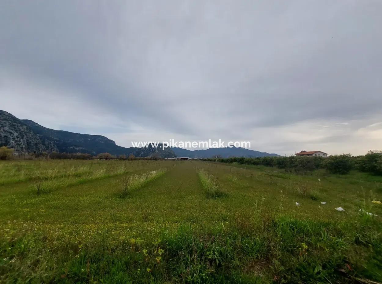 5 000 M2, 250 M2 Baugenehmigung, Grundstück In Der Nähe Des Dalyan-Kanals Zum Verkauf In Dalyan, Muğla