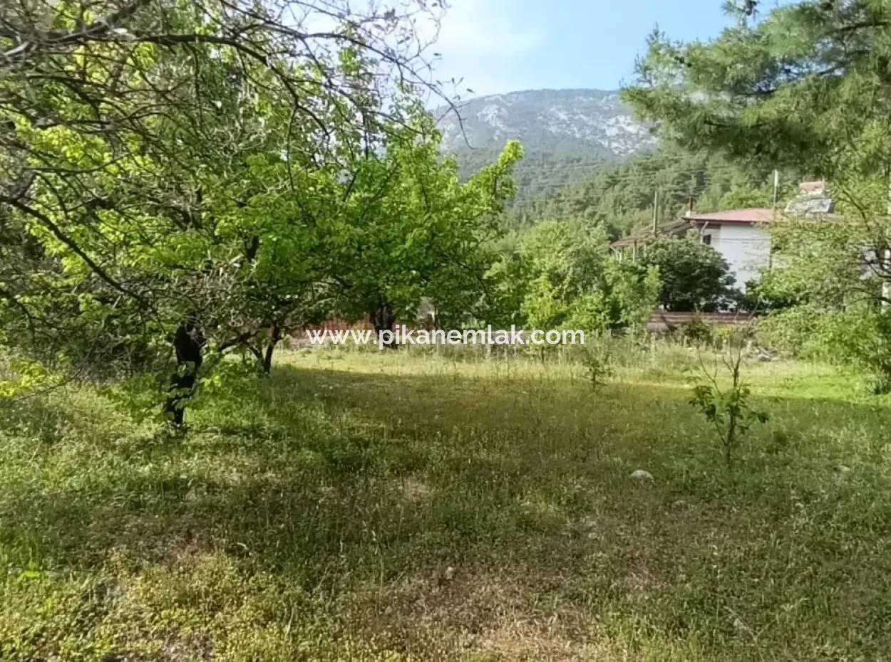 1228 M2 Grundstück Und Kargir Haus Zu Verkaufen In Muğla Menteşe Yaraş, Dorf In Dorf.   
