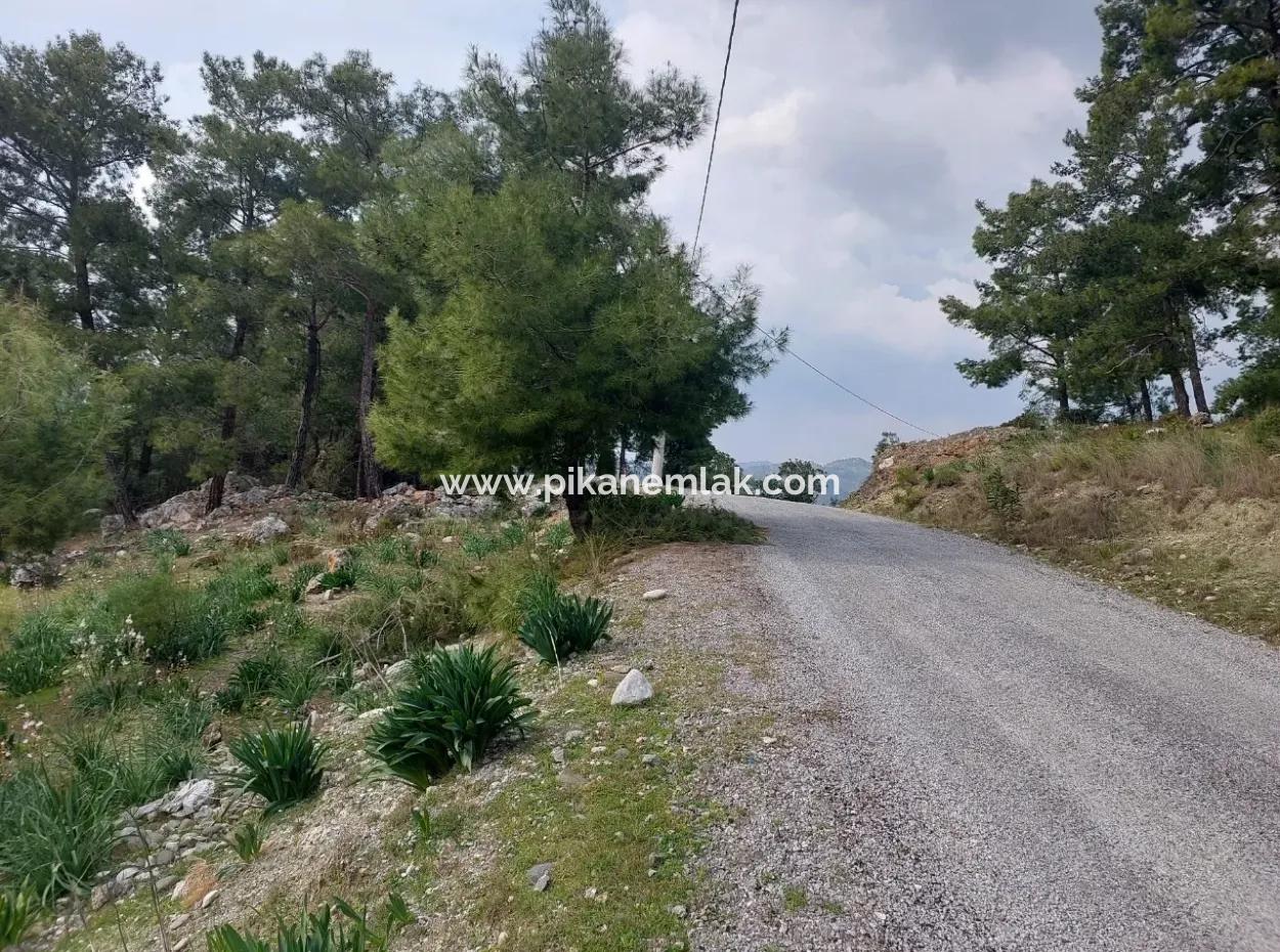 3.500 M2 Freistehendes Grundstück Mit Meerblick Zum Verkauf In Dalaman Gürköy