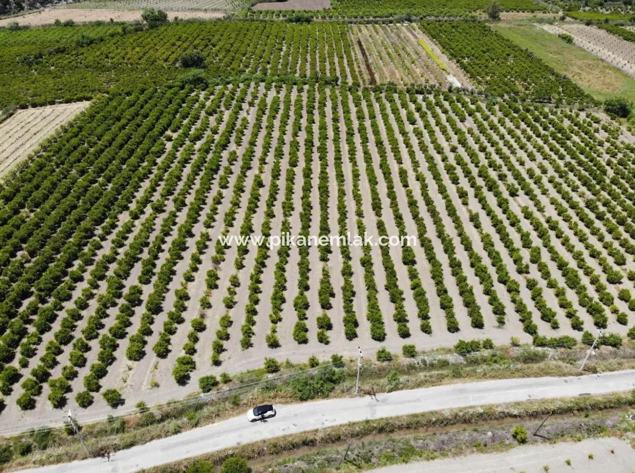13 500 M2 Feld Zum Verkauf In Ortaca Mergenli