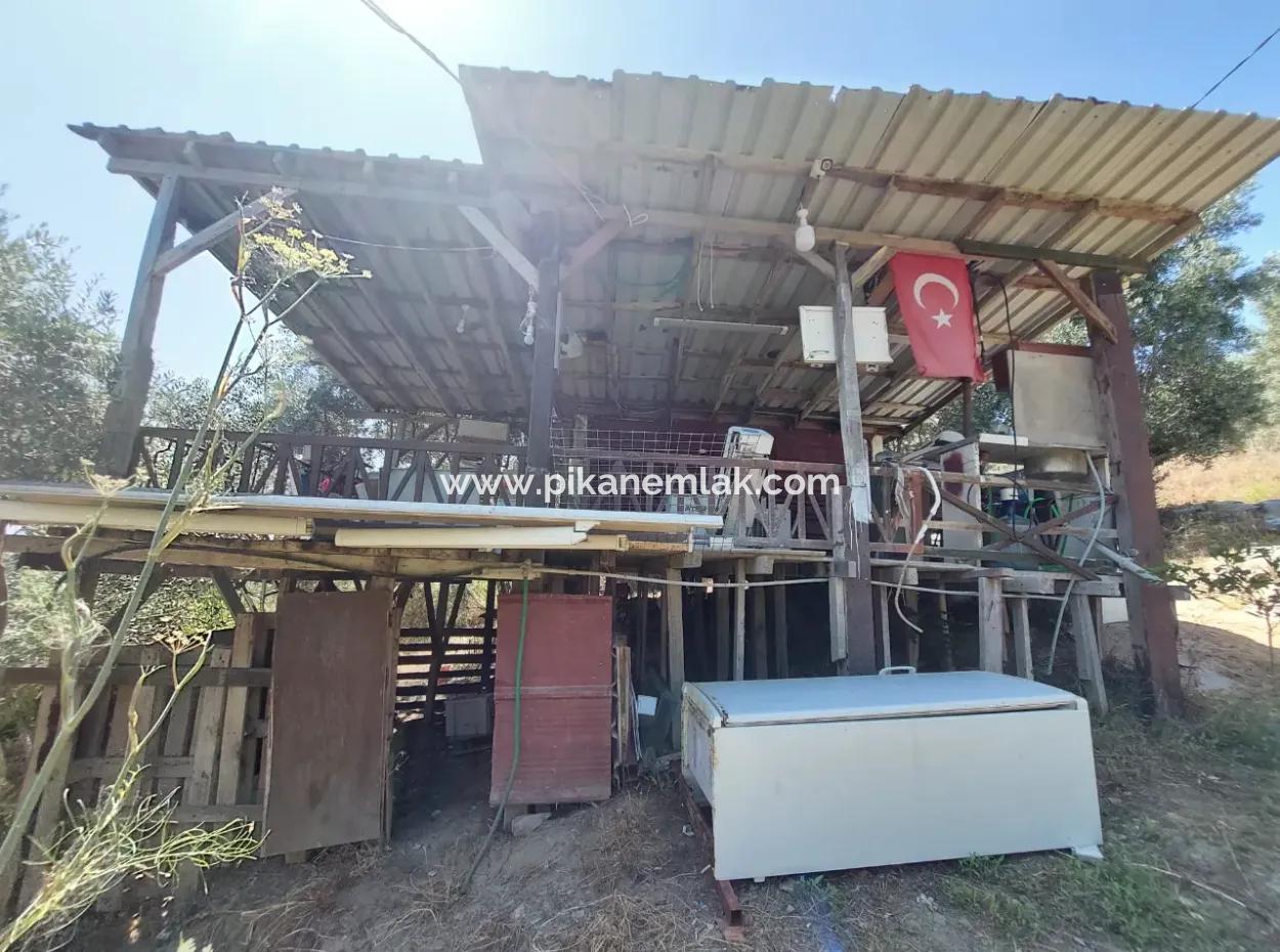 Zu Verkaufen Mit Einem Nummerierten Gebäude Auf 2.500M2 Schatzgrundstück In Ortaca Eskiköy