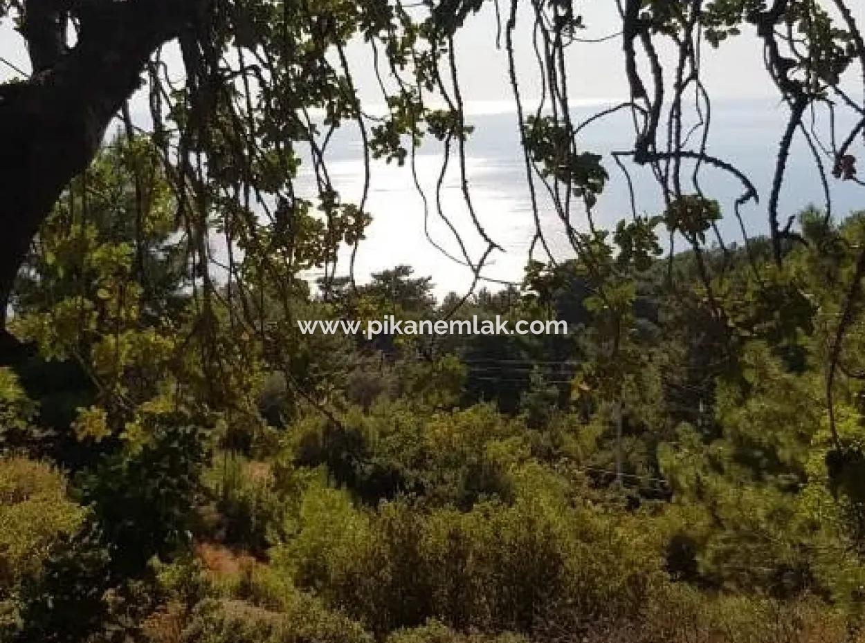 Tourismus-Zonen Grundstücke Zum Verkauf In Fethiye Mit Meerblick Faralya