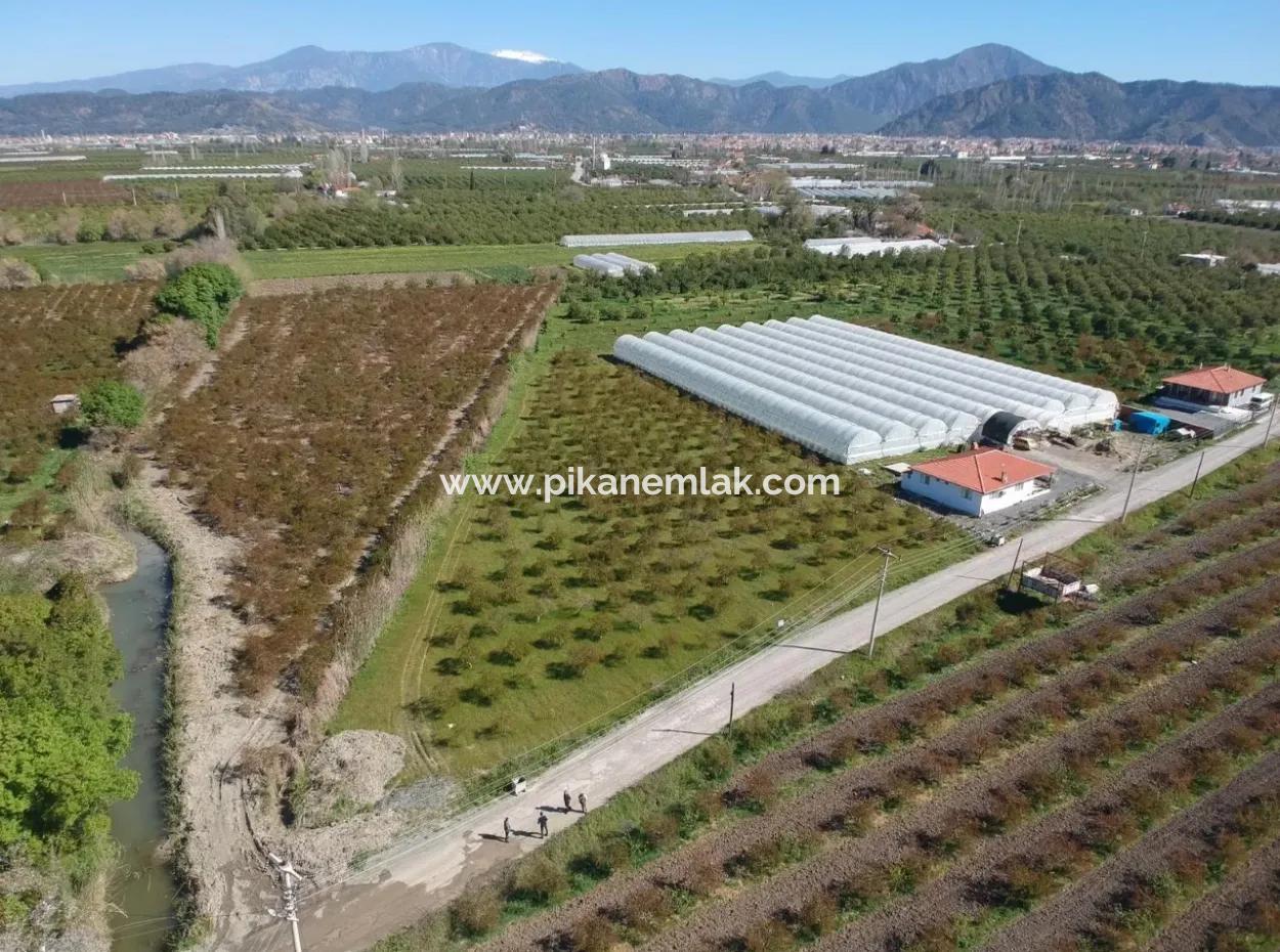Zum Verkauf Schnäppchen Ortaca Im Granatapfel-Gärten