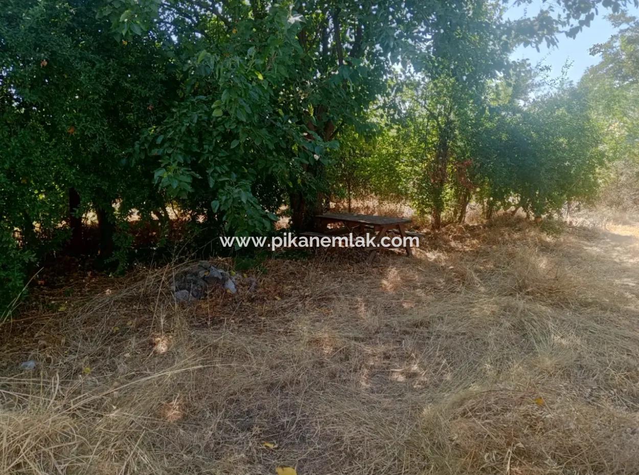 3 1 Möbliertes Einfamilienhaus Zu Vermieten