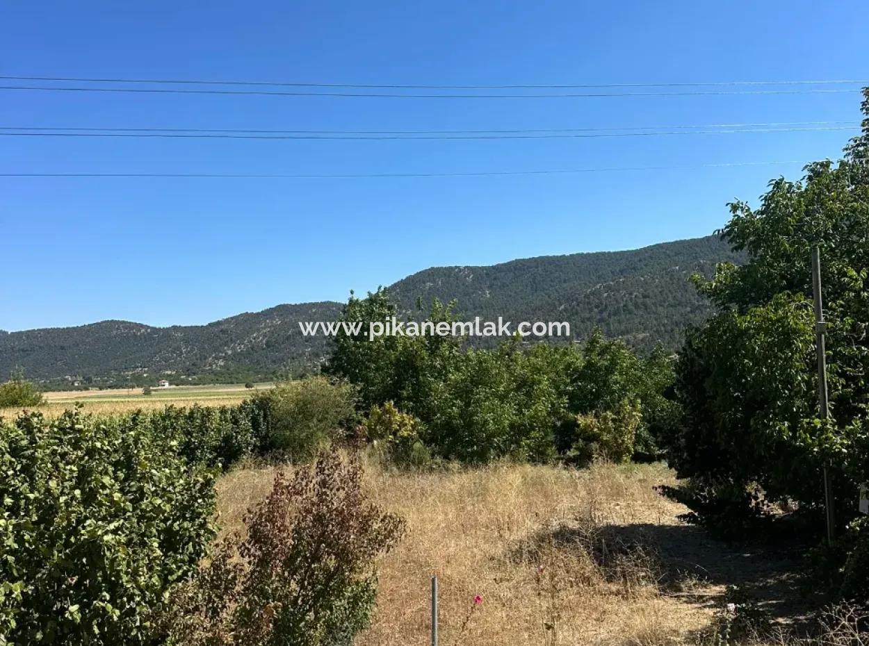 3070 M2 Walnussgarten Zum Verkauf Am Rande Der Hauptstraße In Denizli Çameli