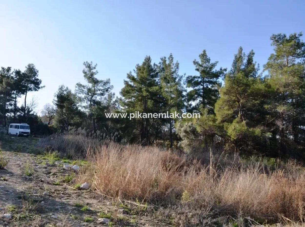 Wertvolle Waterfront Land Zum Verkauf In Tlos Fethiye Kragen