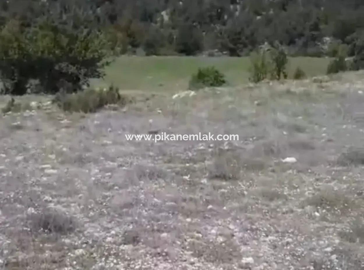 1770 M2 Feld Zum Verkauf In Çameli Ayvacık