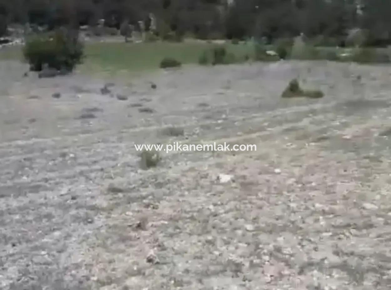 1770 M2 Feld Zum Verkauf In Çameli Ayvacık
