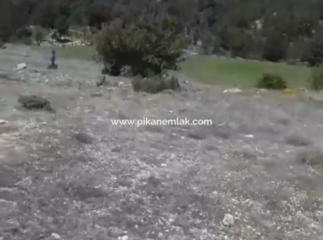 1770 M2 Feld Zum Verkauf In Çameli Ayvacık