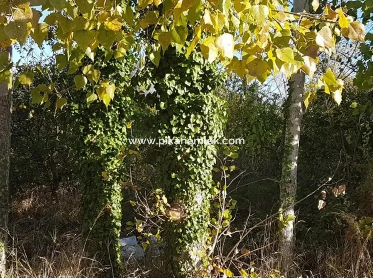 Schnäppchen-Grundstück Zu Verkaufen In Archer