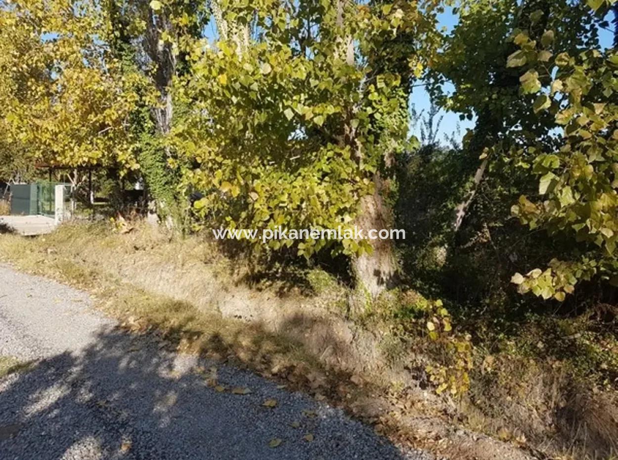 Schnäppchen-Grundstück Zu Verkaufen In Archer