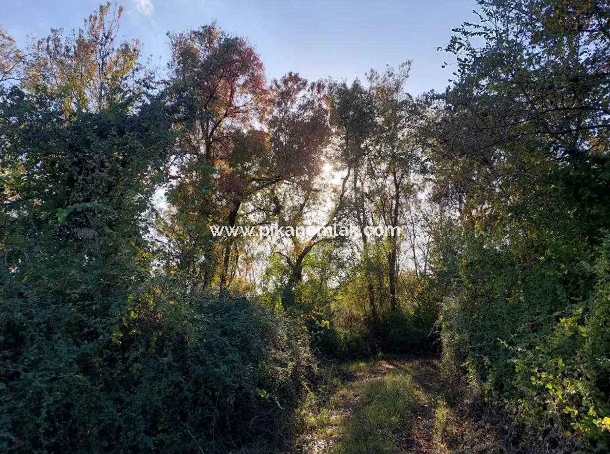 9 600 M2 Grundstück In Der Nähe Des Sees In Köyceğiz Toparlar Stehen Zum Verkauf