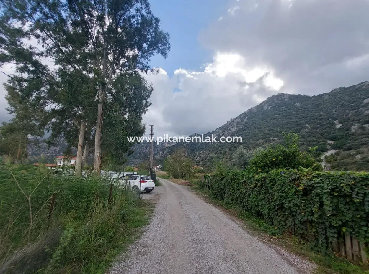 5.000 M2 Grundstück Mit 150 M2 Baurecht Stehen In Muğla Dalyan Zum Verkauf