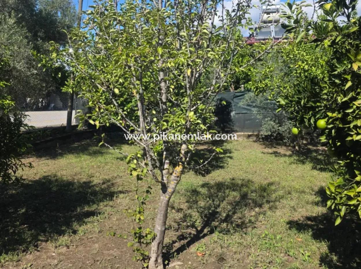 2 1, 70 M2 Dorfhaus Zum Verkauf Auf 902 M2 Land Null Zur Ortaca Akıncı Sarıgerme Road