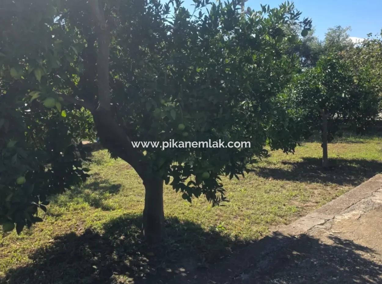 2 1, 70 M2 Dorfhaus Zum Verkauf Auf 902 M2 Land Null Zur Ortaca Akıncı Sarıgerme Road