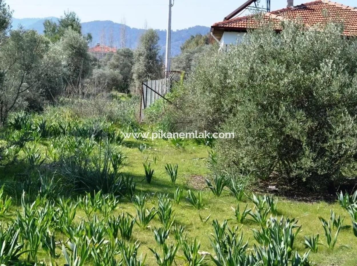 Villa Zu Verkaufen Schnäppchen Ortaca Im Plot