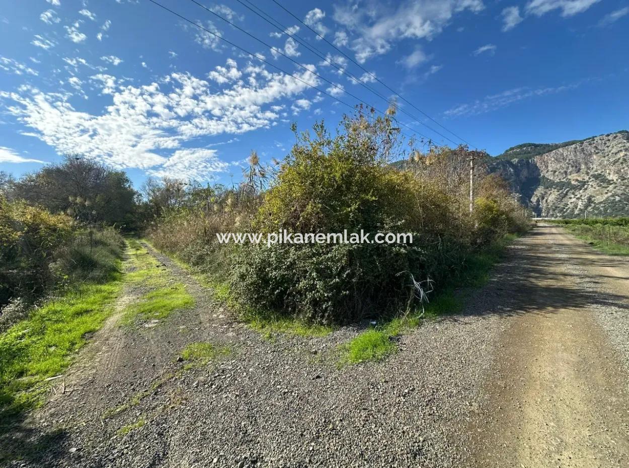 12 000 M2 Feld Zum Verkauf In Ortaca Yeşilyurt